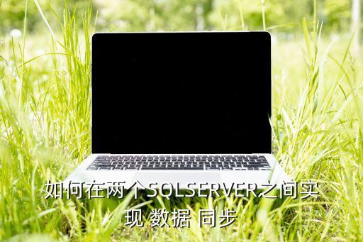 如何在兩個SQLSERVER之間實現(xiàn) 數(shù)據(jù) 同步