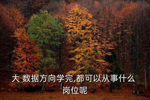 大 數(shù)據(jù)方向?qū)W完,都可以從事什么 崗位呢