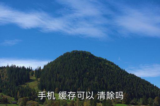  手機 緩存可以 清除嗎