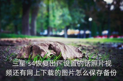  三星 s4恢復(fù)出廠設(shè)置的話照片視頻還有網(wǎng)上下載的圖片怎么保存?zhèn)浞? class=