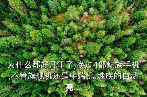 為什么都好幾年了,換過4部魅族手機(jī),不管旗艦機(jī)還是中端機(jī),魅族的自動(dòng)亮...
