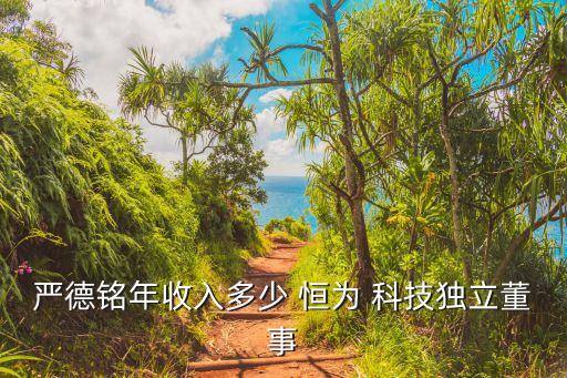 嚴(yán)德銘年收入多少 恒為 科技獨(dú)立董事