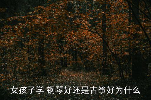 女孩子學(xué) 鋼琴好還是古箏好為什么