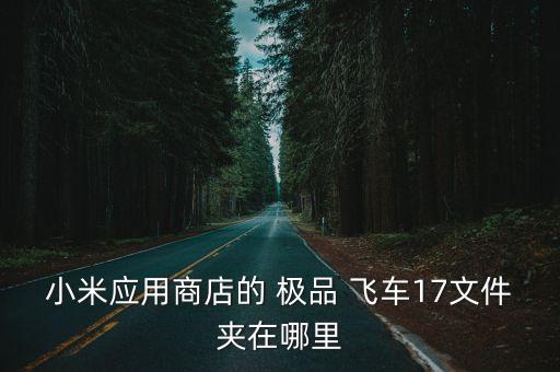小米應(yīng)用商店的 極品 飛車17文件夾在哪里