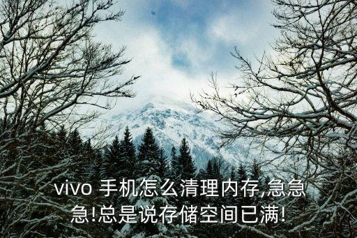 vivo 手機怎么清理內(nèi)存,急急急!總是說存儲空間已滿!