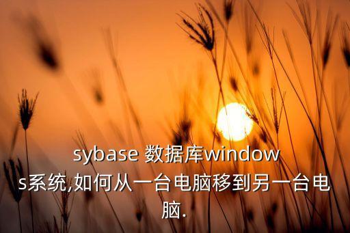  sybase 數(shù)據(jù)庫(kù)windows系統(tǒng),如何從一臺(tái)電腦移到另一臺(tái)電腦.