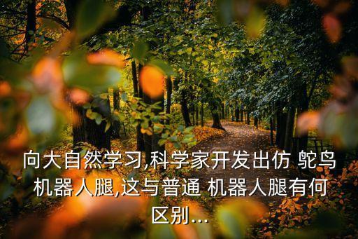 鴕鳥機(jī)器人的連接件是什么意思