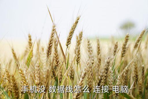  手機沒 數(shù)據(jù)線怎么 連接 電腦