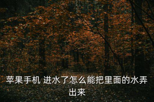 iphone進(jìn)水后數(shù)據(jù)導(dǎo)出
