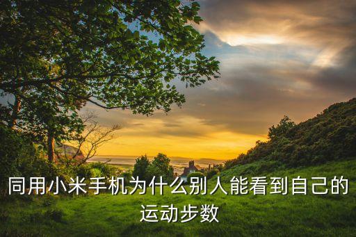 同用小米手機(jī)為什么別人能看到自己的 運(yùn)動步數(shù)