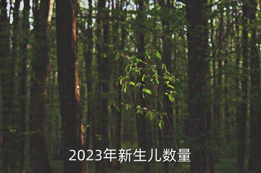 嬰兒出生數(shù)據(jù),2022年嬰兒出生數(shù)據(jù)