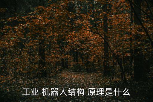 機(jī)器人的制作原理,旺仔燒烤機(jī)器人的制作原理
