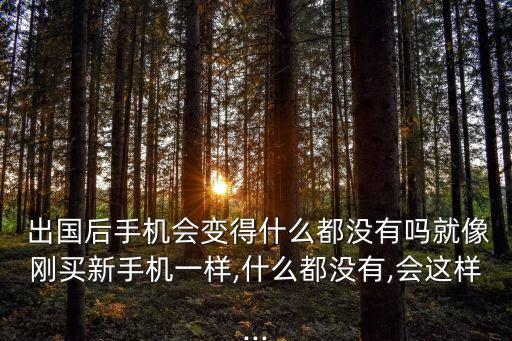  出國(guó)后手機(jī)會(huì)變得什么都沒有嗎就像剛買新手機(jī)一樣,什么都沒有,會(huì)這樣...