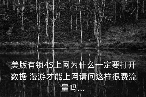 美版iphone4s數(shù)據(jù)漫游
