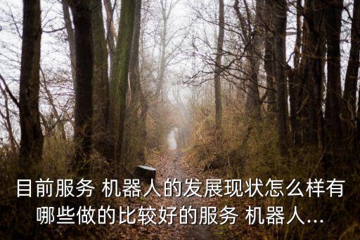 目前服務(wù) 機(jī)器人的發(fā)展現(xiàn)狀怎么樣有哪些做的比較好的服務(wù) 機(jī)器人...