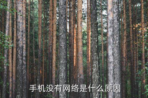 手機(jī) 沒有數(shù)據(jù)信號(hào),手機(jī)沒有數(shù)據(jù)網(wǎng)絡(luò)怎么恢復(fù)