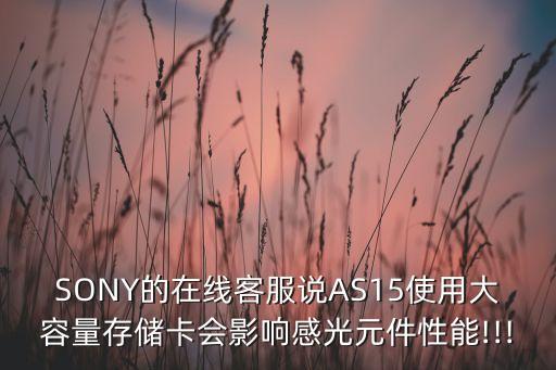 SONY的在線客服說AS15使用大容量存儲卡會影響感光元件性能!!!