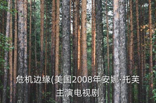 危機邊緣(美國2008年安娜·托芙主演電視劇