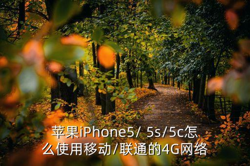 蘋果iPhone5/ 5s/5c怎么使用移動/聯(lián)通的4G網(wǎng)絡(luò)