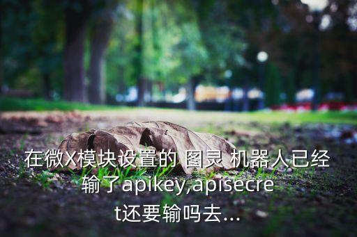 在微X模塊設(shè)置的 圖靈 機(jī)器人已經(jīng)輸了apikey,apisecret還要輸嗎去...
