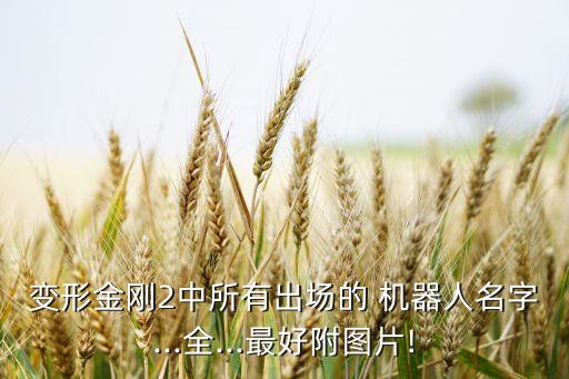 變形金剛2中所有出場的 機器人名字...全...最好附圖片!