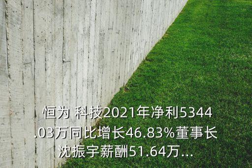 恒為 科技2021年凈利5344.03萬同比增長46.83%董事長沈振宇薪酬51.64萬...