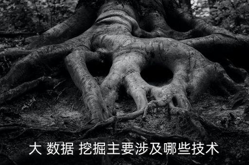 大數(shù)據(jù) 數(shù)據(jù)挖掘