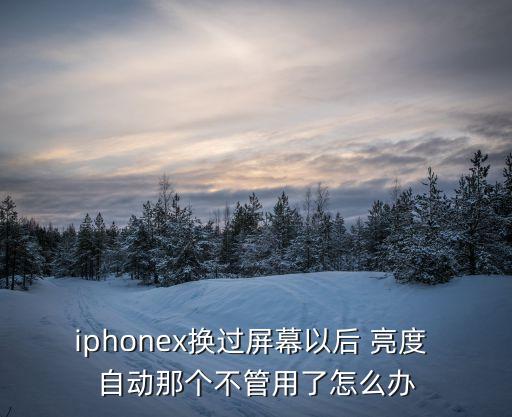 iphonex換過屏幕以后 亮度 自動那個不管用了怎么辦