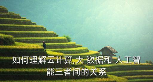 如何理解云計算,大 數(shù)據(jù)和 人工智能三者間的關(guān)系