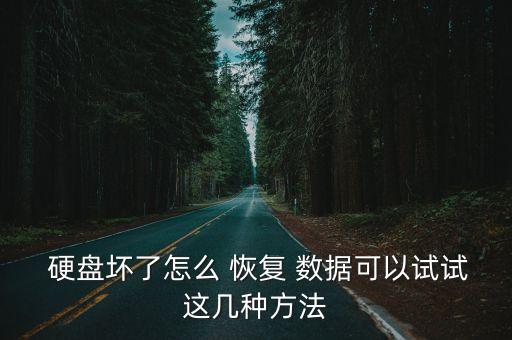  硬盤壞了怎么 恢復(fù) 數(shù)據(jù)可以試試這幾種方法