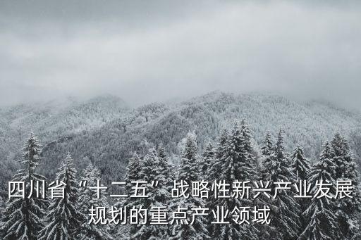 四川省“十二五”戰(zhàn)略性新興產(chǎn)業(yè)發(fā)展規(guī)劃的重點(diǎn)產(chǎn)業(yè)領(lǐng)域
