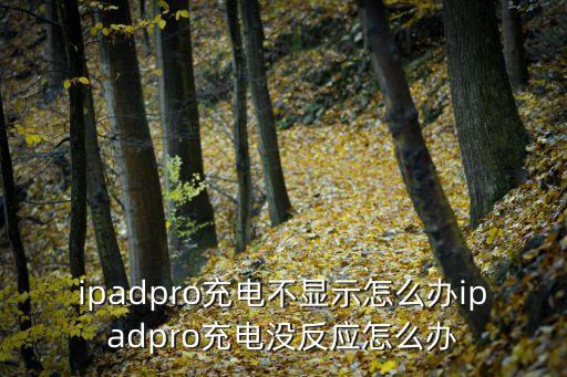 ipadpro12.9數(shù)據(jù)線破了