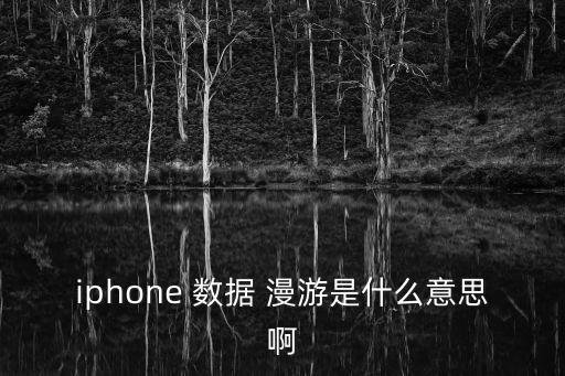 手機(jī)數(shù)據(jù)自動變成漫游,手機(jī)上數(shù)據(jù)漫游是什么,能不能開啟