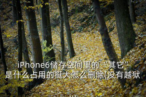 iPhone6儲(chǔ)存空間里的“其它”是什么占用的挺大怎么刪除(沒(méi)有越獄...