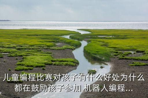 國(guó)內(nèi)小學(xué)生機(jī)器人大賽,小學(xué)生機(jī)器人大賽需要哪些知識(shí)