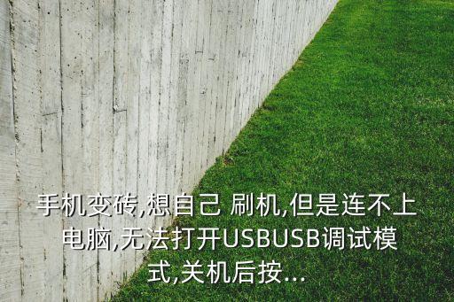 刷機(jī)數(shù)據(jù)線連不上電腦怎么辦,電腦刷機(jī)之后連不上網(wǎng)了