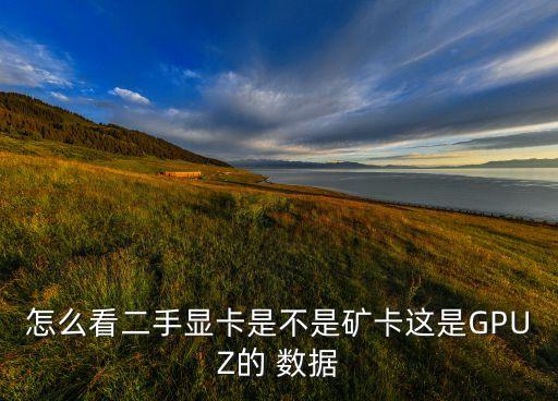 怎么看二手顯卡是不是礦卡這是GPUZ的 數(shù)據(jù)