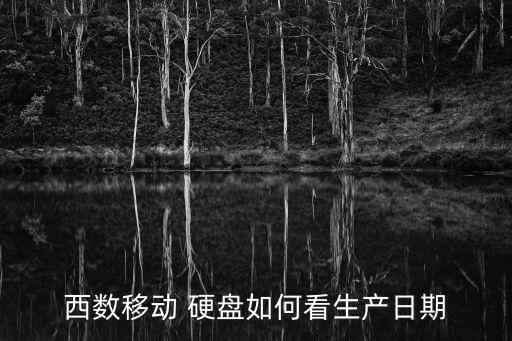 西數(shù)移動(dòng) 硬盤如何看生產(chǎn)日期
