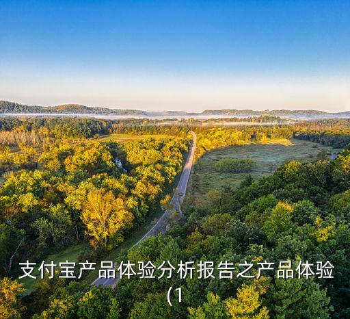  支付寶產(chǎn)品體驗(yàn)分析報(bào)告之產(chǎn)品體驗(yàn)(1