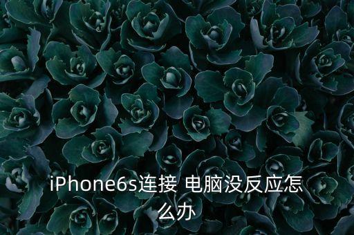 iPhone6s連接 電腦沒(méi)反應(yīng)怎么辦
