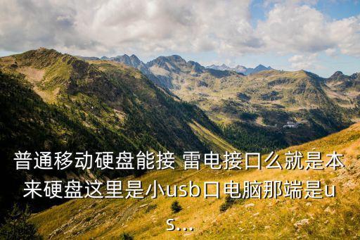 普通移動(dòng)硬盤(pán)能接 雷電接口么就是本來(lái)硬盤(pán)這里是小usb口電腦那端是us...