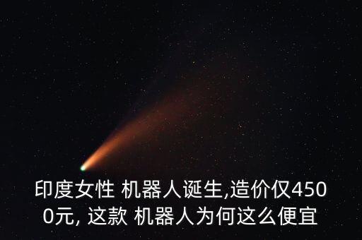 這款機(jī)器人多少錢(qián)啊,帶男性功能的機(jī)器人多少錢(qián)