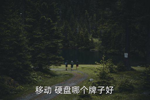 西部數(shù)據(jù)最好的硬盤