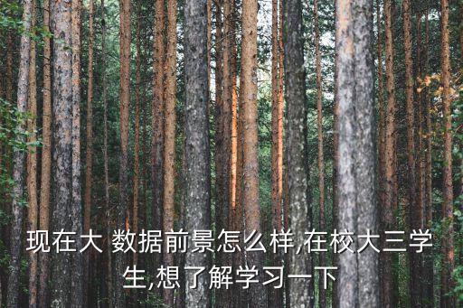 現(xiàn)在大 數(shù)據(jù)前景怎么樣,在校大三學(xué)生,想了解學(xué)習(xí)一下