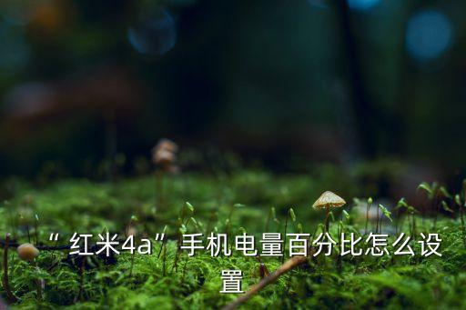 “ 紅米4a”手機(jī)電量百分比怎么設(shè)置