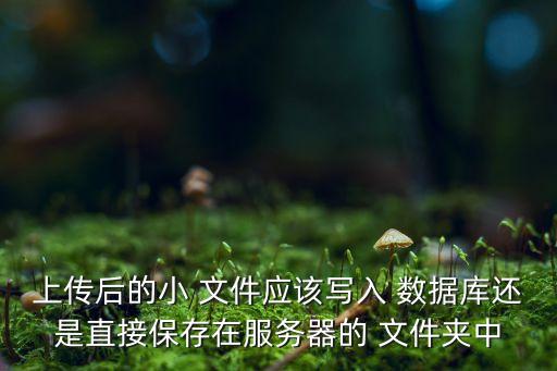 上傳后的小 文件應(yīng)該寫(xiě)入 數(shù)據(jù)庫(kù)還是直接保存在服務(wù)器的 文件夾中