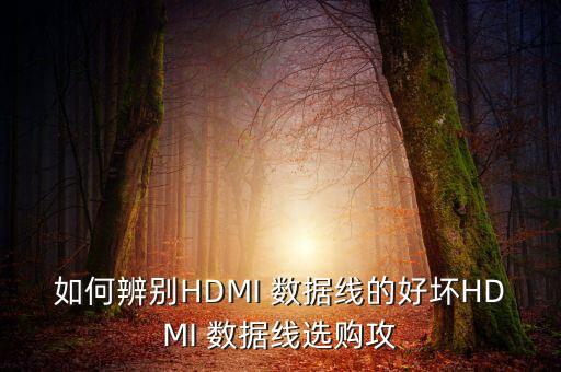 如何辨別HDMI 數(shù)據(jù)線的好壞HDMI 數(shù)據(jù)線選購攻