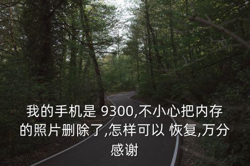 9300 數(shù)據(jù)恢復(fù)
