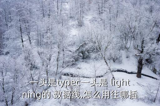 lightning短數(shù)據(jù)線,a to lightning數(shù)據(jù)線