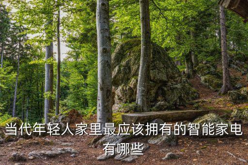 當(dāng)代年輕人家里最應(yīng)該擁有的智能家電有哪些